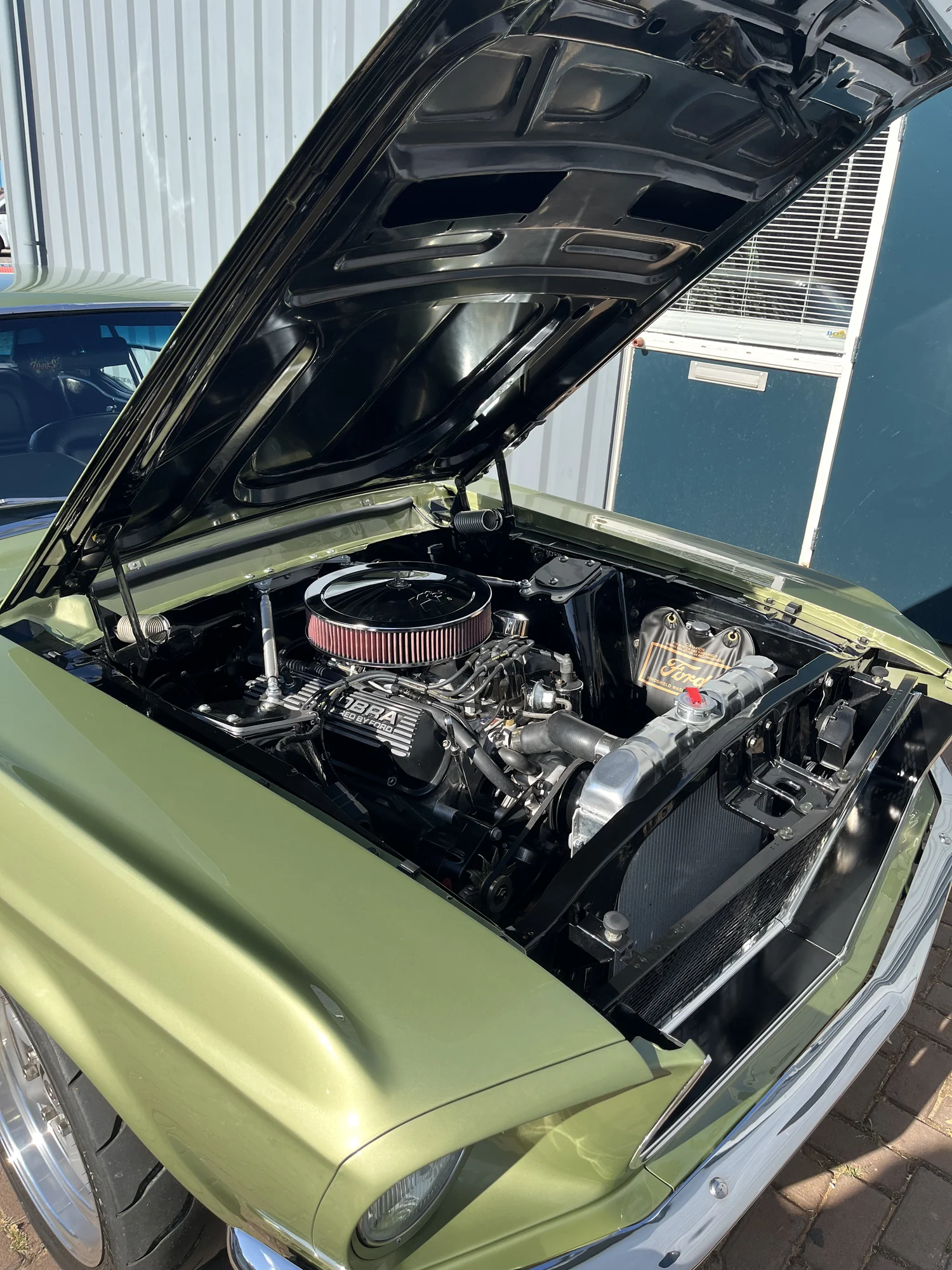De groene Mustang uit 1967 met geopende motorkap